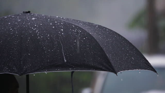 Slow Motion of Rain and umbrella