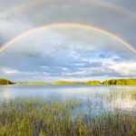 siragu rainbow
